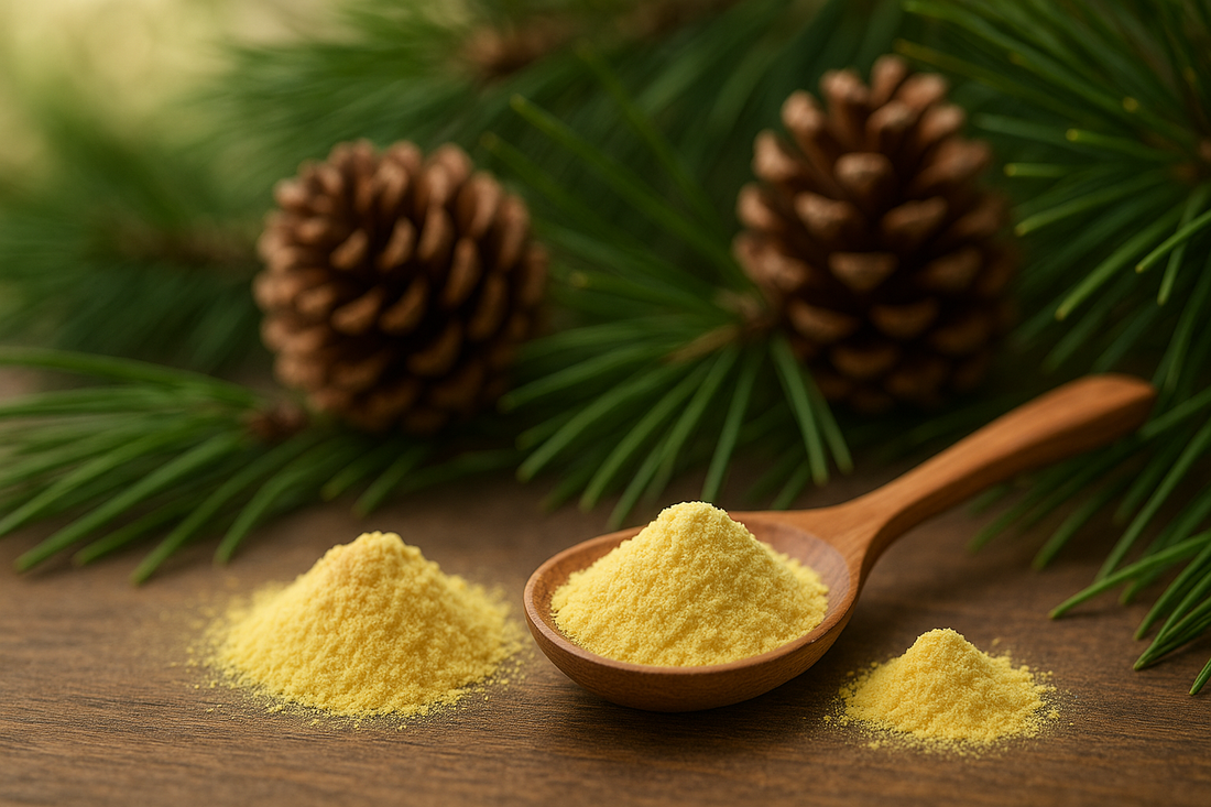 Shilajit vs Pollen de pin : quel complément choisir ?